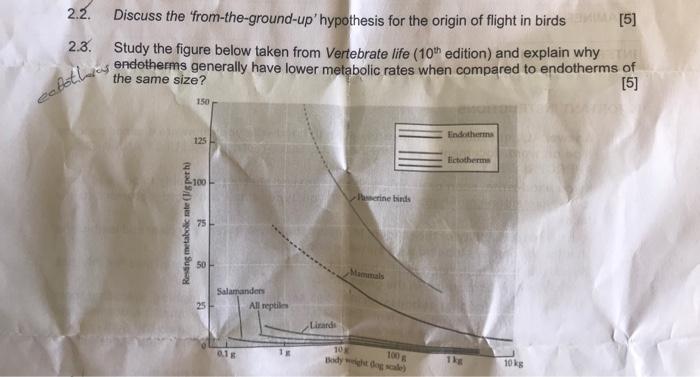 Solved 2.2. Discuss the 'from-the-ground-up'hypothesis for | Chegg.com