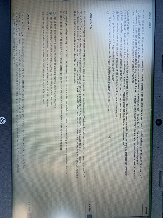 Solved QUESTION 4 2 points You are conducting the first | Chegg.com