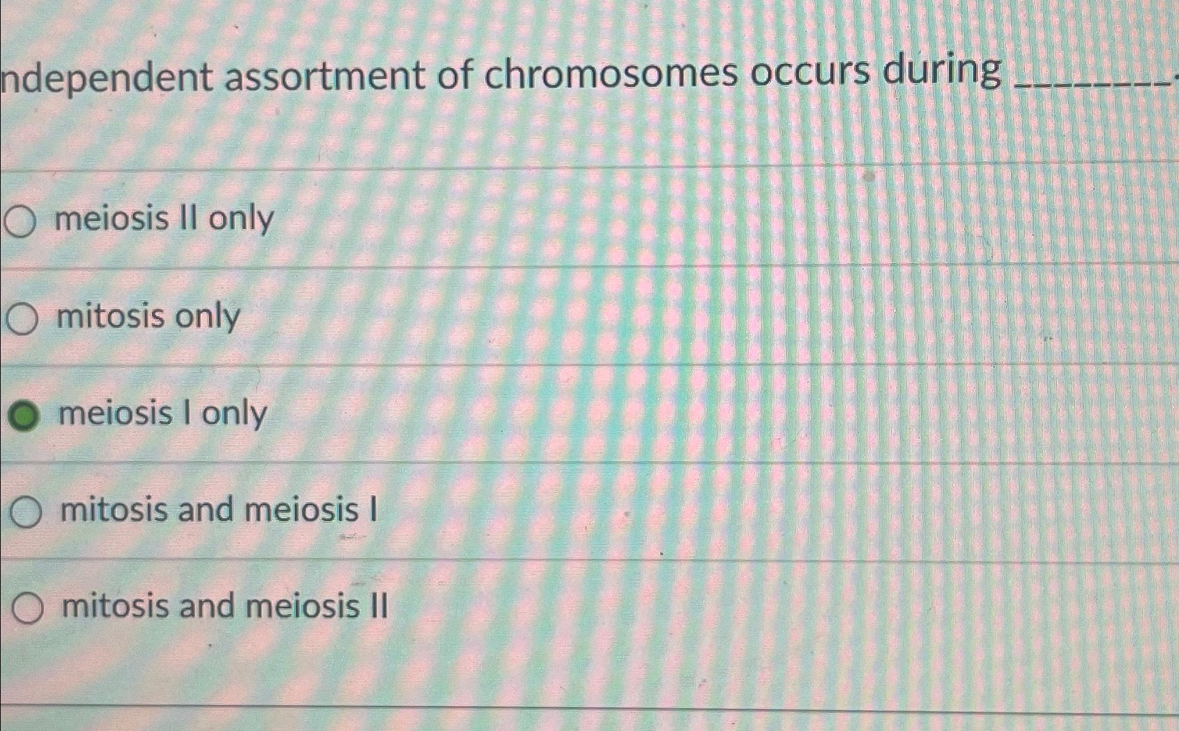 Solved Ndependent Assortment Of Chromosomes Occurs | Chegg.com