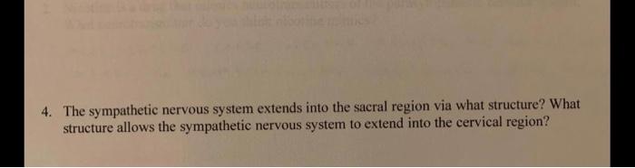 Solved 4. The sympathetic nervous system extends into the | Chegg.com