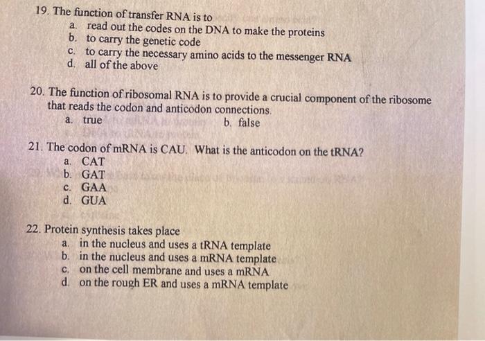Solved 19. The function of transfer RNA is to a. read out | Chegg.com