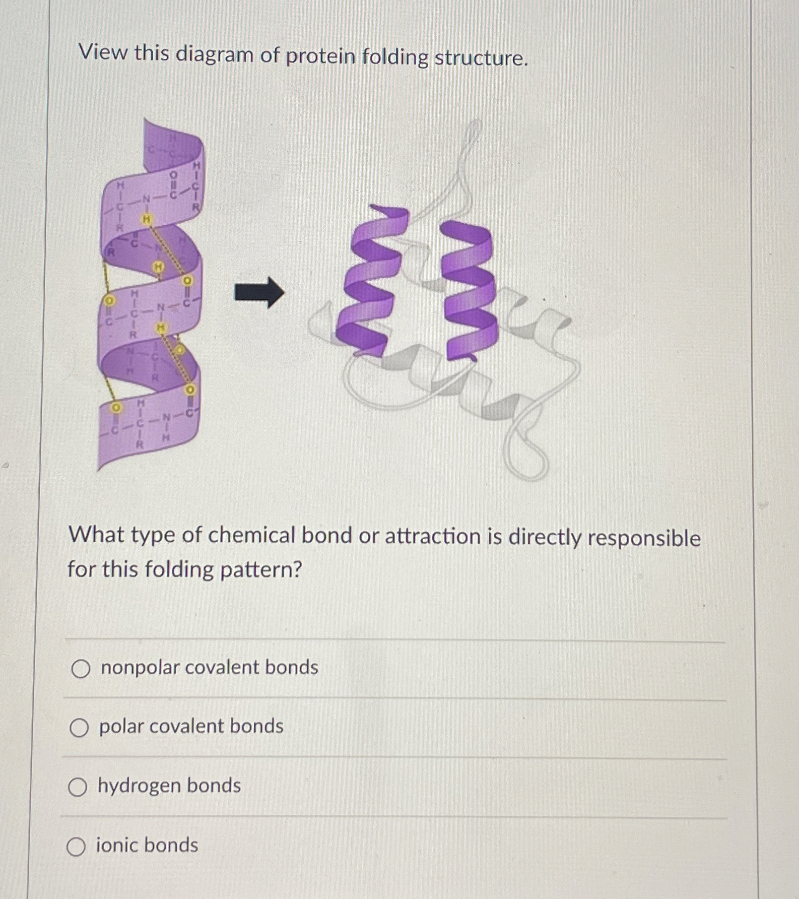 Solved View this diagram of protein folding structure.What | Chegg.com