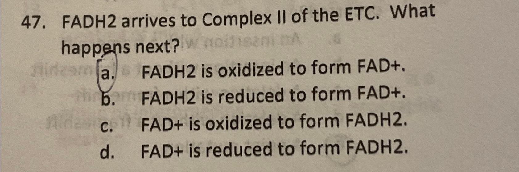 Solved FADH 2 ﻿arrives to Complex II of the ETC. What | Chegg.com