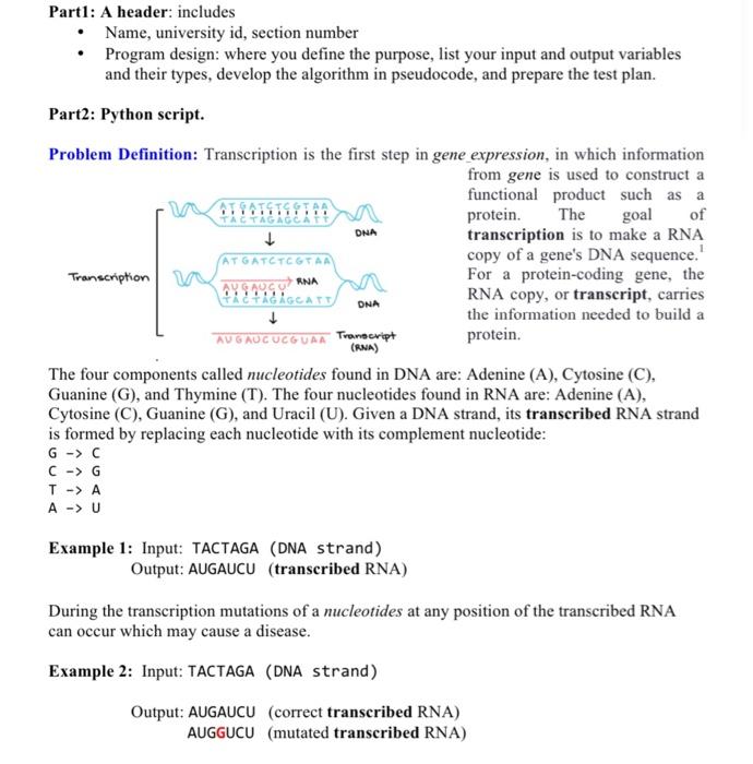 Solved Part1: A header: includes - Name, university id, | Chegg.com