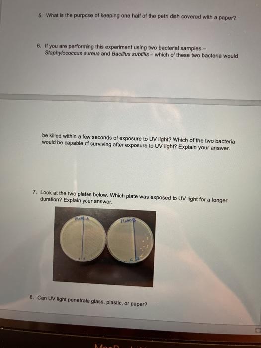 Solved Lab Assignment Effect Of Ultraviolet Light On Chegg Com