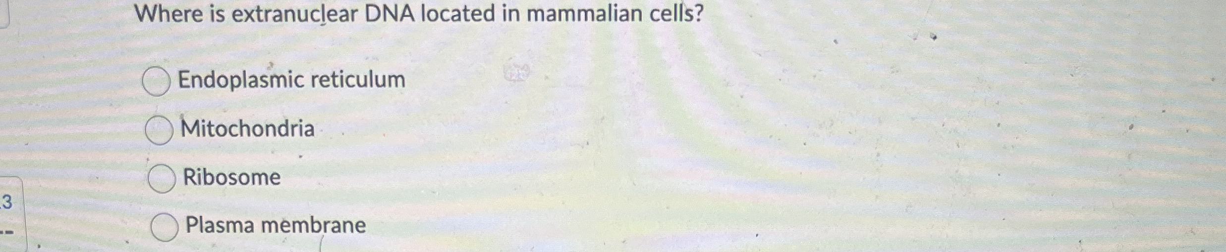 Solved Where is extranuclear DNA located in mammalian | Chegg.com