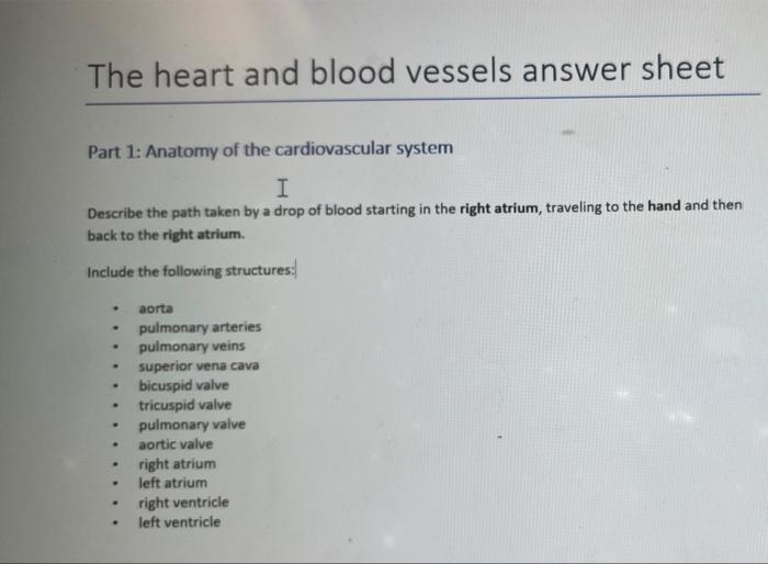 Solved The Heart And Blood Vessels Answer Sheet Part 1: | Chegg.com