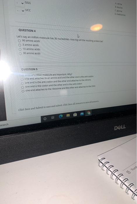 Solved GGG v UCC Com QUESTION 4 D Let's say an mRNA molecule | Chegg.com