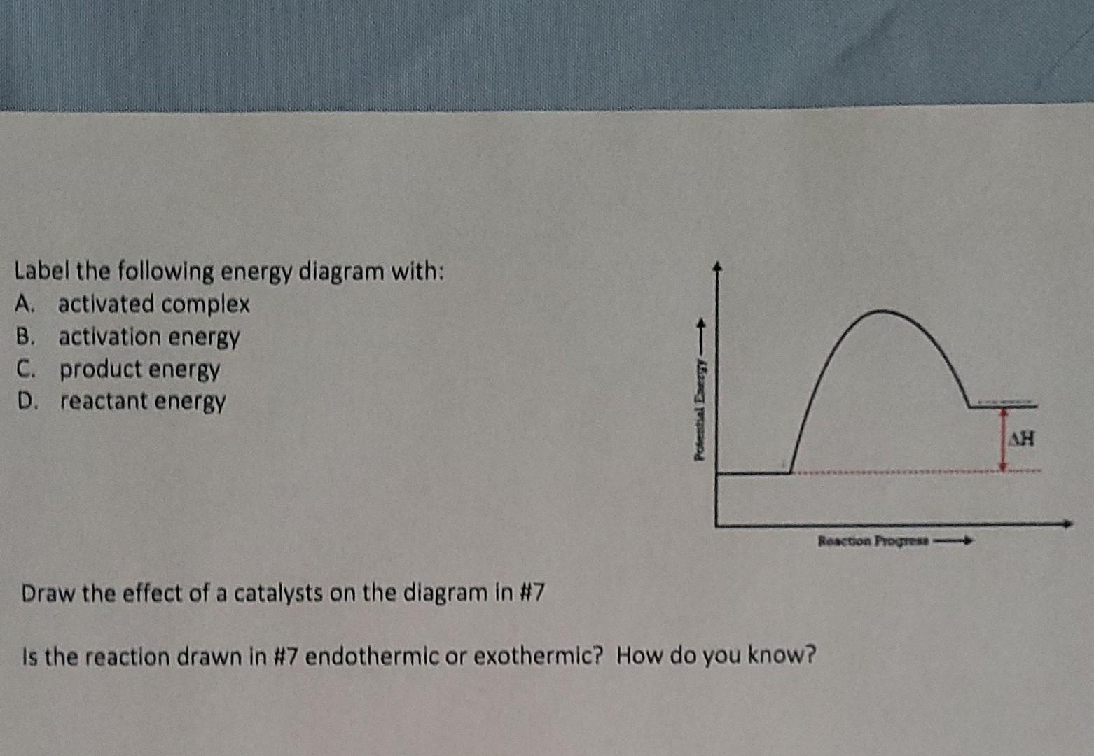 Solved Label the following energy diagram with: A. activated | Chegg.com