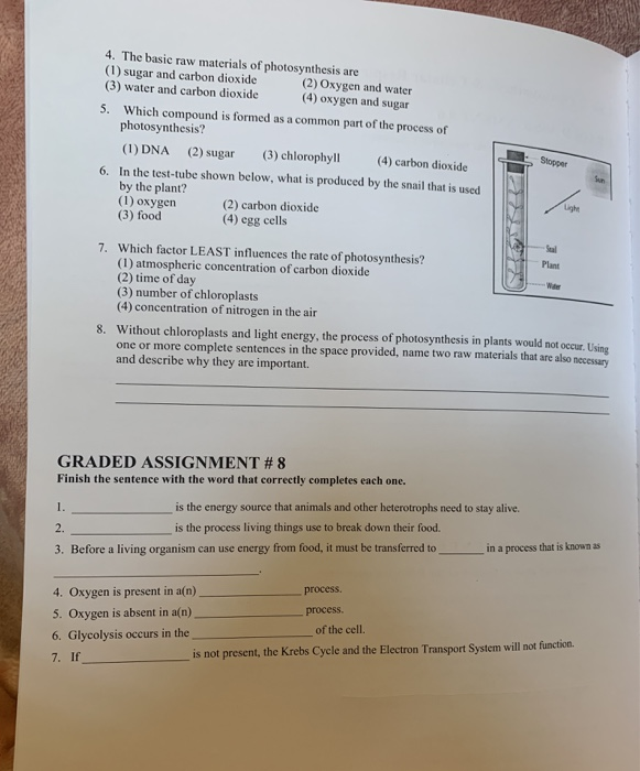 What Are The Raw Materials Of Photosynthesis GrigorArdege