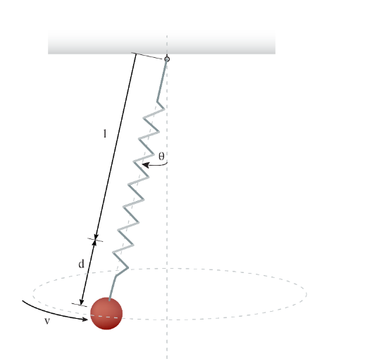 Solved The elastic cord (acts like a spring) has an | Chegg.com
