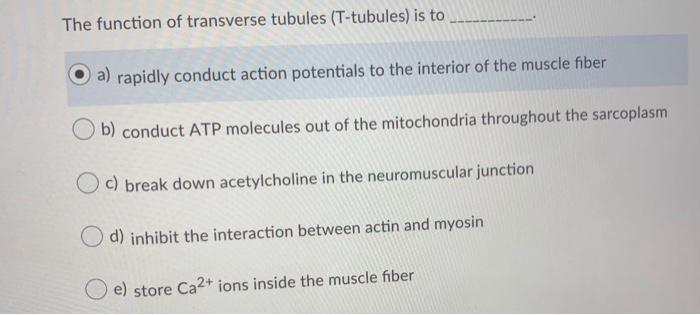 Solved The function of transverse tubules (T-tubules) is to | Chegg.com