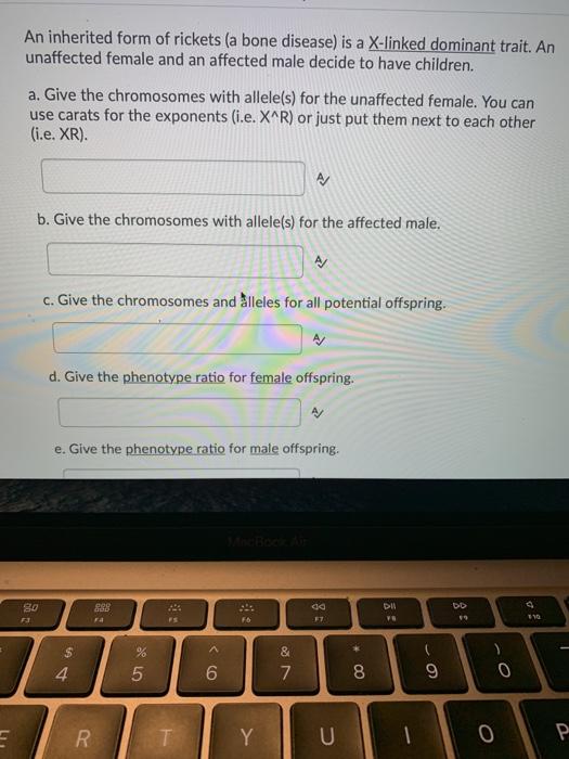 Solved An inherited form of rickets (a bone disease) is a | Chegg.com