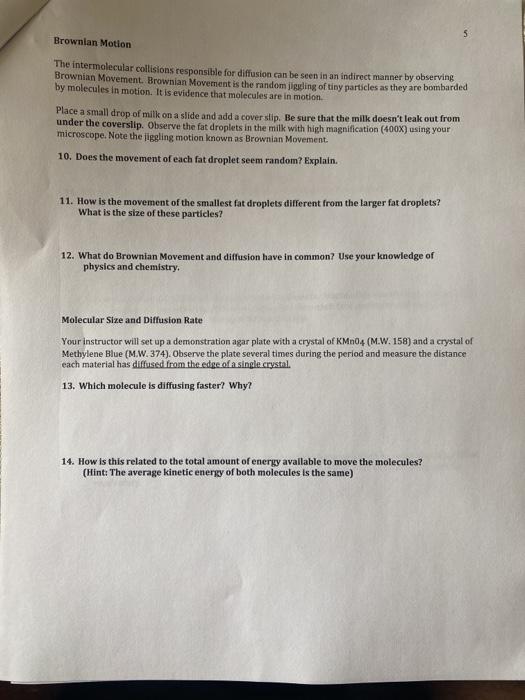 Solved Bio 101 Lab LAB 3 DIFFUSION & OSMOSIS One of the
