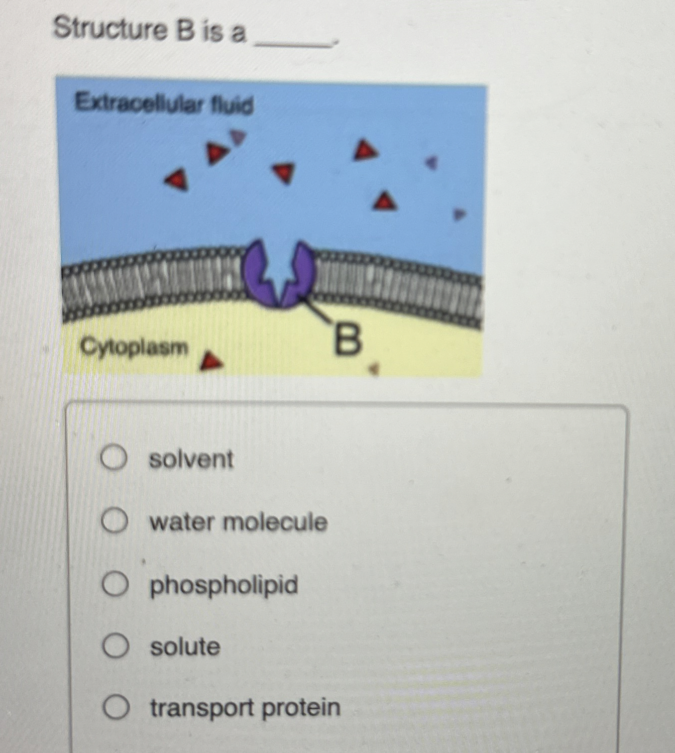 Solved Structure B is asolventwater | Chegg.com