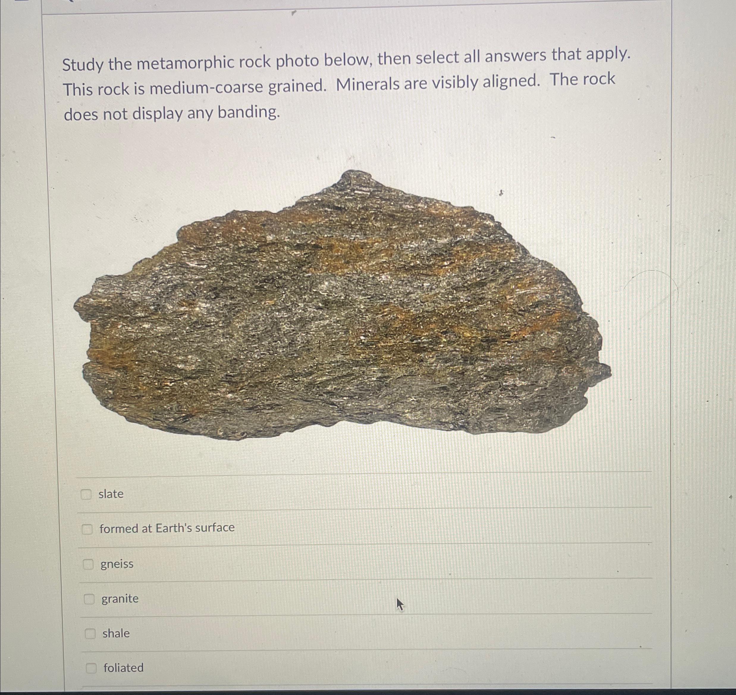 Solved Study the metamorphic rock photo below, then select | Chegg.com