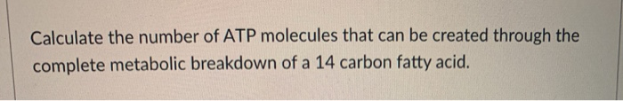 Solved Calculate The Number Of Atp Molecules That Can Be