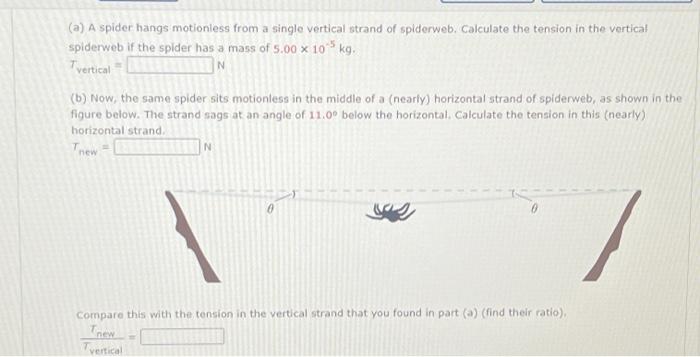 Solved (a) A spider hangs motionless from a single vertical | Chegg.com