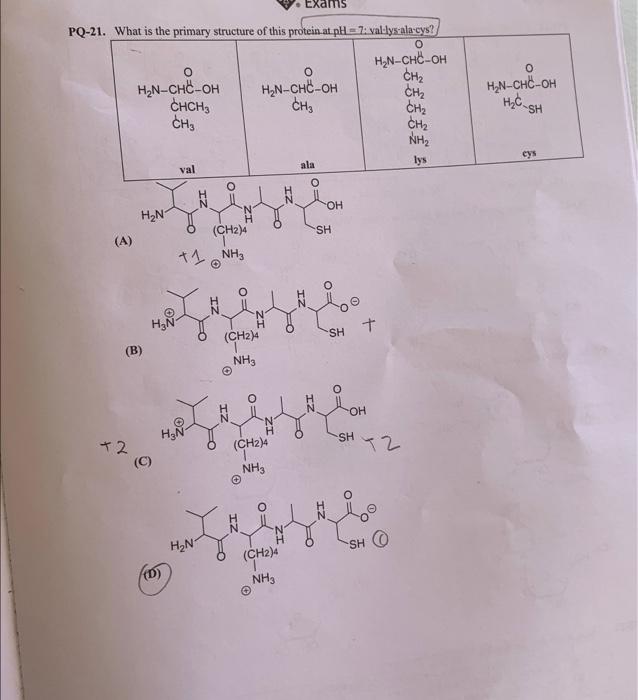 Solved (B) +2 (D) | Chegg.com