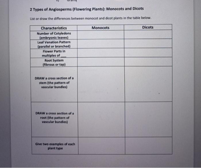 angiosperms plants list