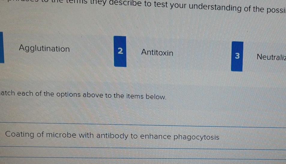 Solved Match the phrases to the terms they describe to test