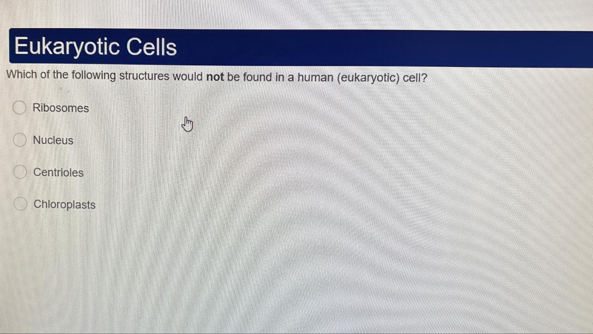 which of the following structures can be found only in eukaryotic cells