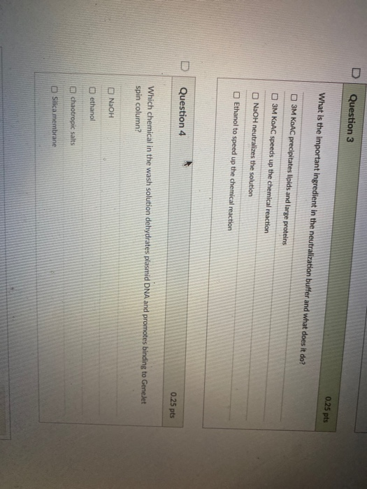 Solved uiz Instructions Question 1 0.2 What is the starting | Chegg.com