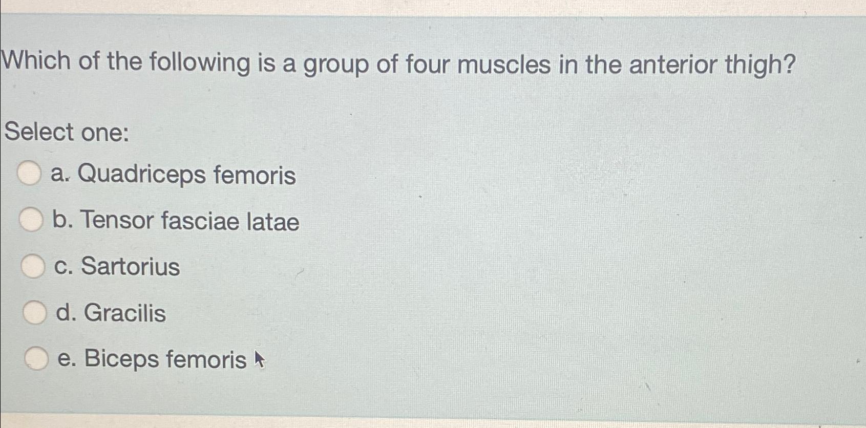 Solved Which of the following is a group of four muscles in | Chegg.com