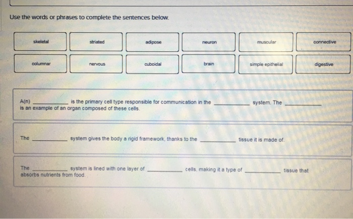 Use The Words Or Phrases To Complete The Sentences Below