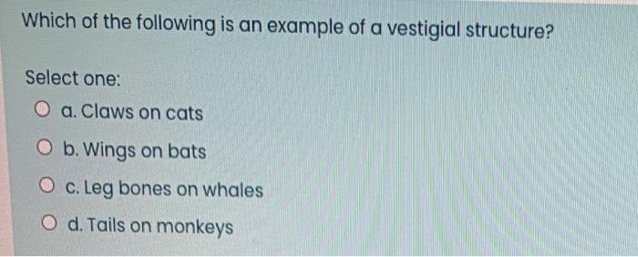 Solved Which of the following is an example of a vestigial | Chegg.com