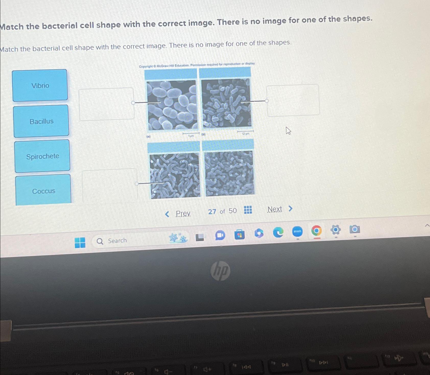 shape of bacterial cell is determined by