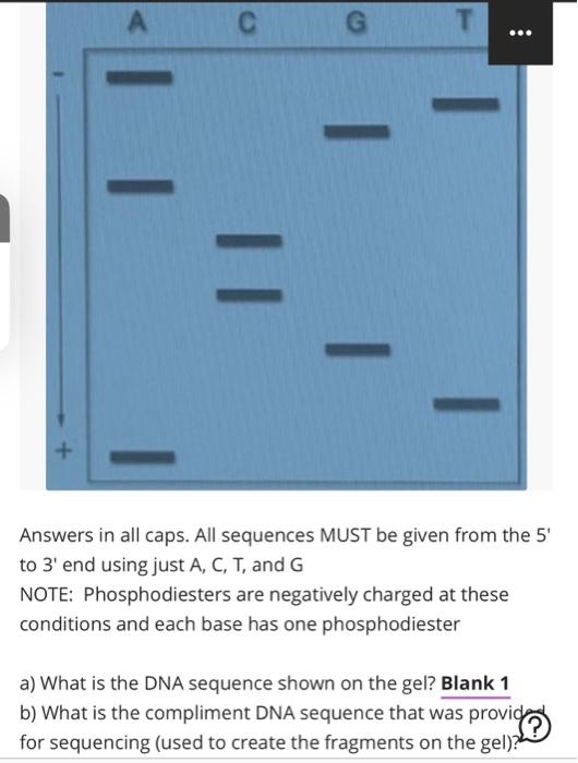 Solved Answers in all caps. All sequences MUST be given from | Chegg.com