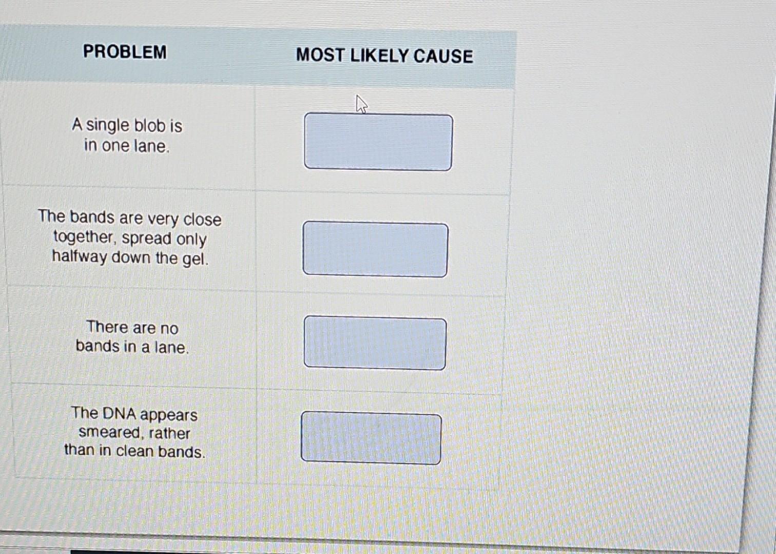 solved-question-chegg