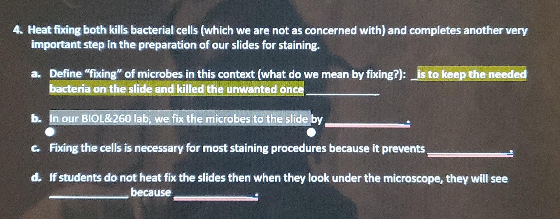 Solved 4. Heat fixing both kills bacterial cells (which we