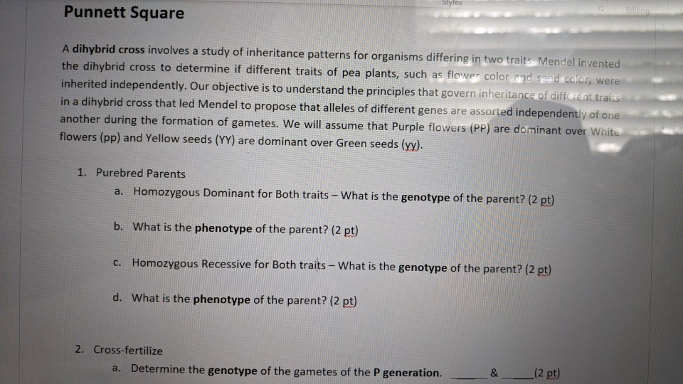 Solved Punnett Square A dihybrid cross involves a study of | Chegg.com