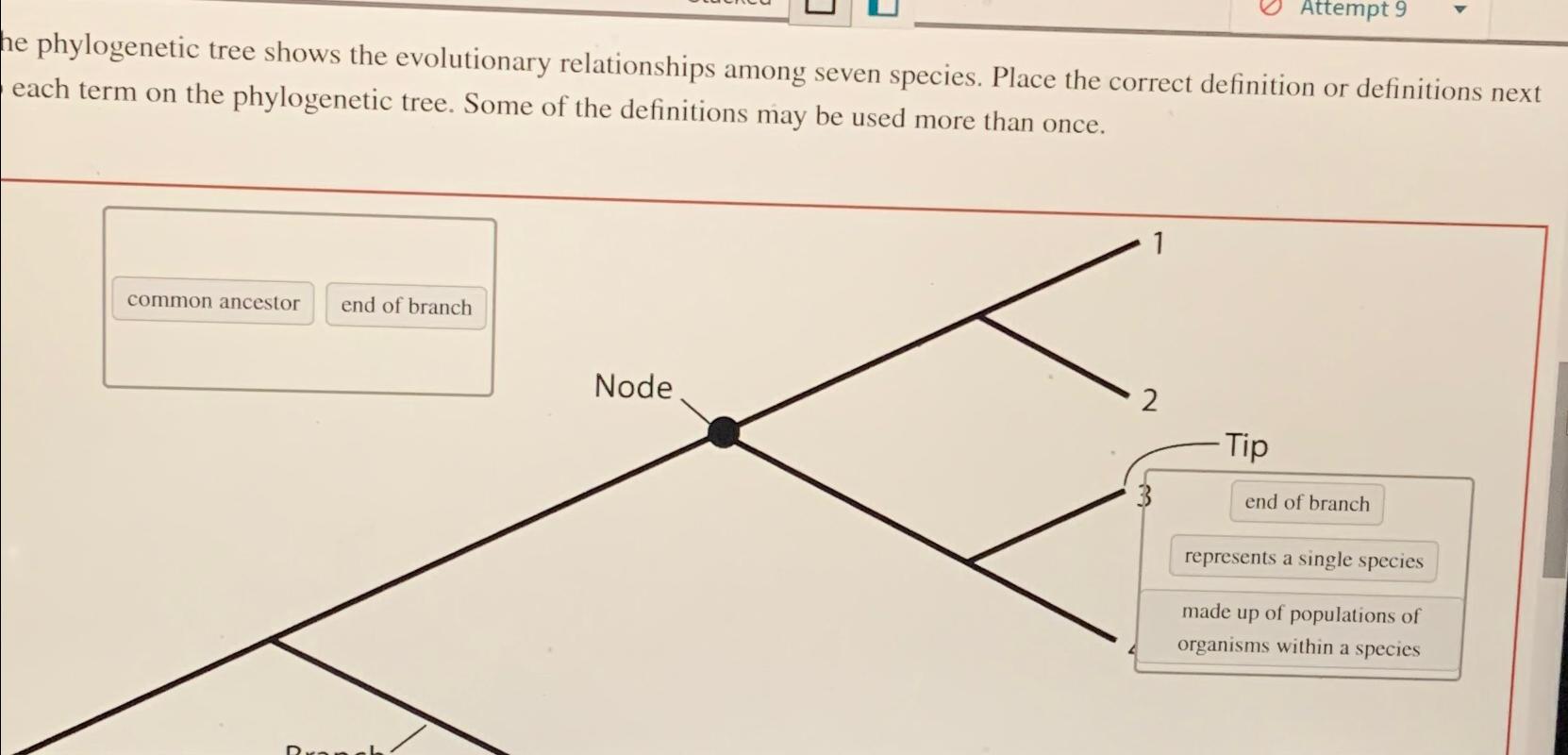 Solved He Phylogenetic Tree Shows The Evolutionary | Chegg.com