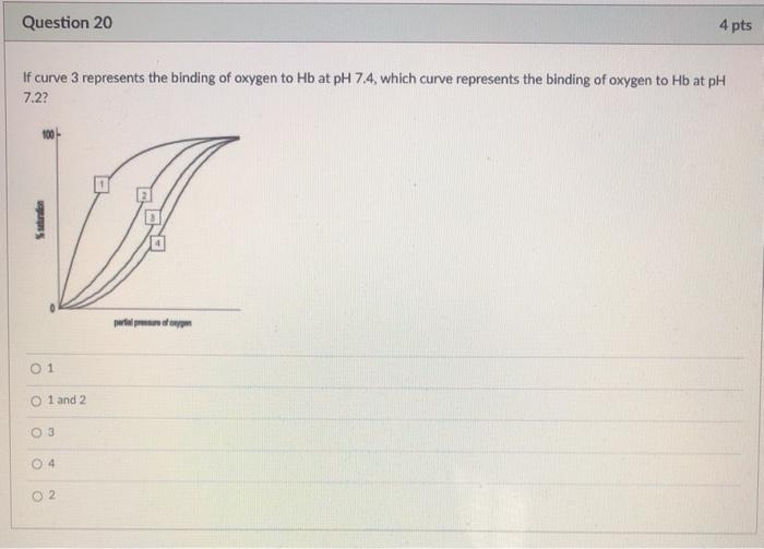 Solved Question 20 4 pts If curve 3 represents the binding | Chegg.com