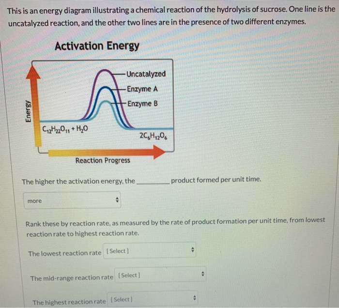 Solved This is an energy diagram illustrating a chemical