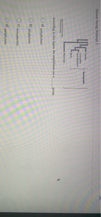 Solved Question 20 (3 points) Examine the figure shown: | Chegg.com