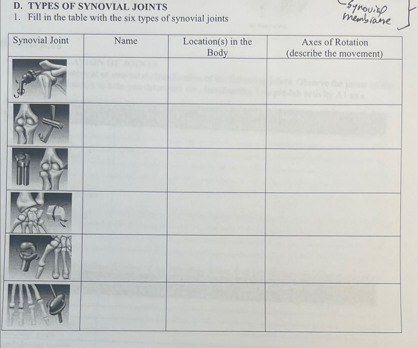 Solved D. ﻿TYPES OF SYNOVIAL JOINTSFill in the table with | Chegg.com