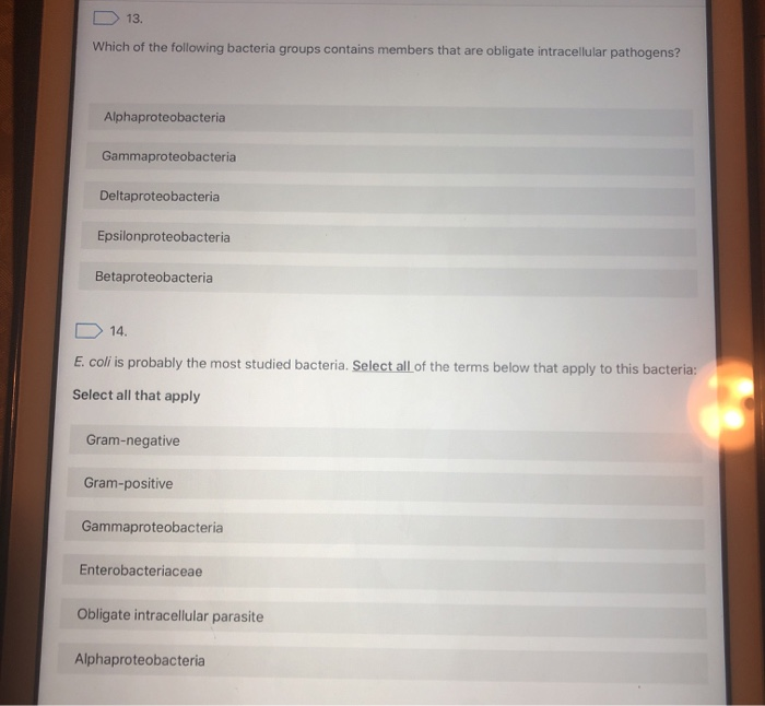 Solved 13. Which of the following bacteria groups contains | Chegg.com