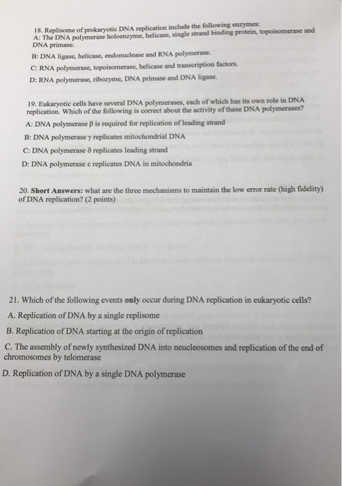 prokaryotic dna replication