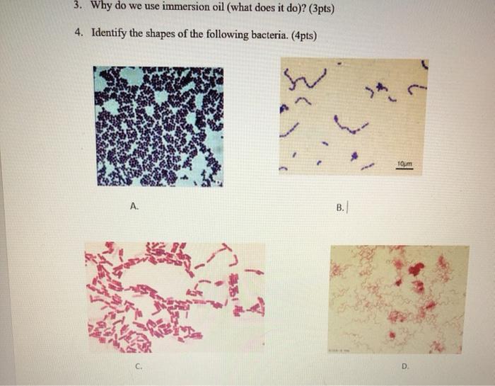 Solved 3. Why do we use immersion oil (what does it do)?