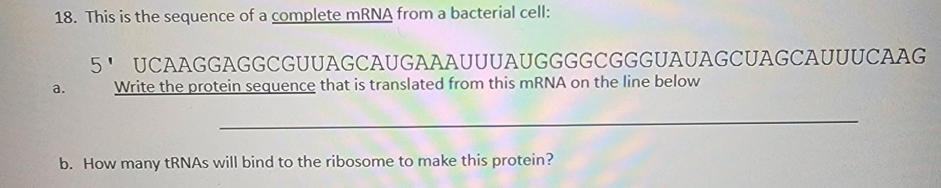 Solved This is the sequence of a complete mRNA from a | Chegg.com
