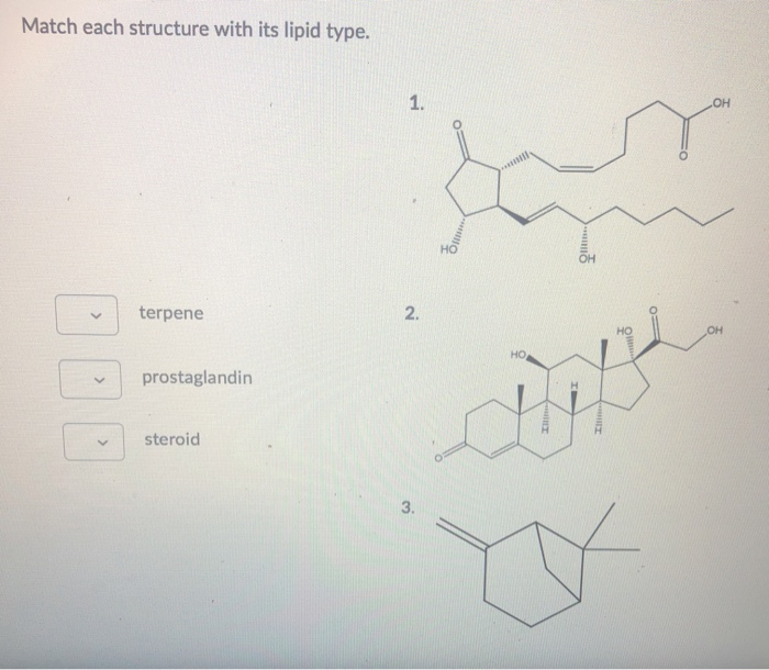 Solved Match each structure with its lipid type. terpene N | Chegg.com