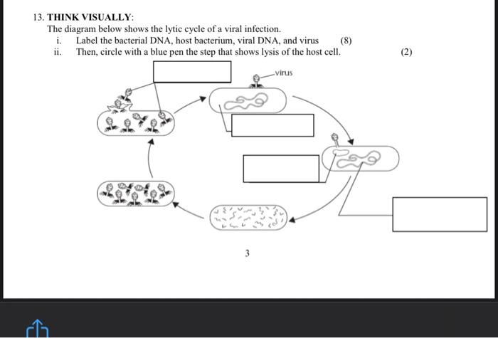 lytic virus labeling