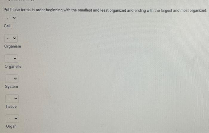 Solved Put these terms in order beginning with the smallest | Chegg.com