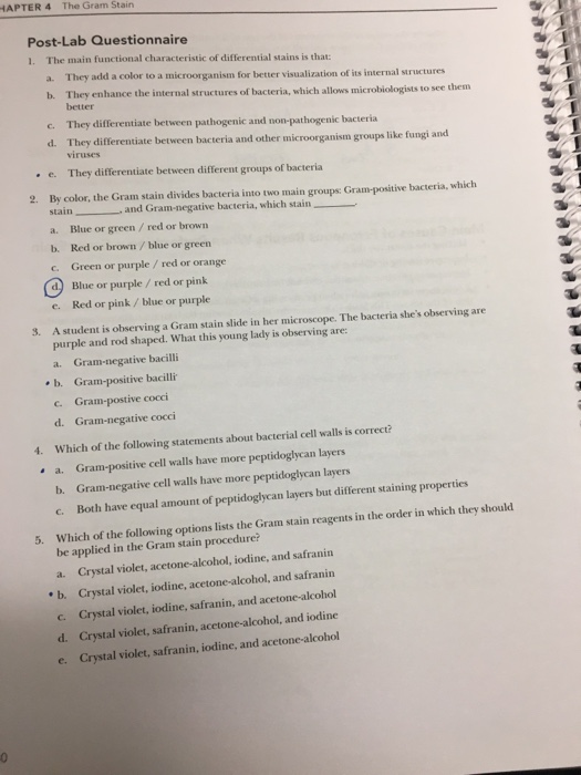 Solved HAPTER 4 The Gram Stain Post-Lab Questionnaire 1. The | Chegg.com