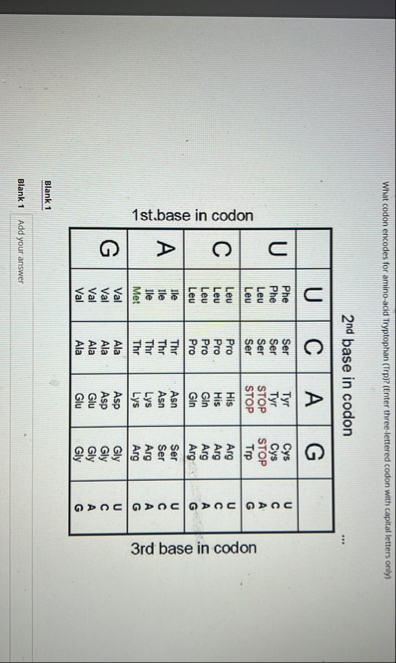 Solved 1st．base in | Chegg.com