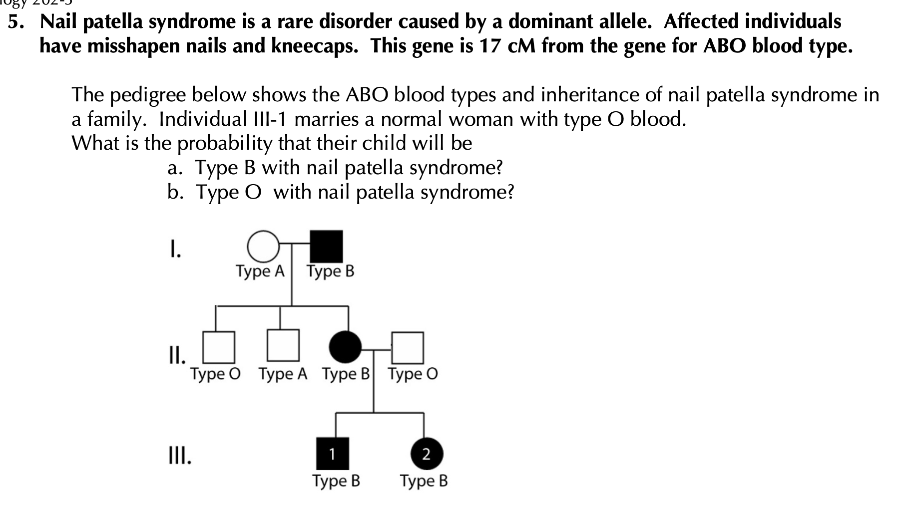 Nail-patella syndrome: clinical clues for making the diagnosis. | Semantic  Scholar